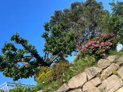 Jardin de l'établissement Appartement de caractère
