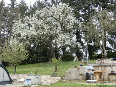 Plan de l'établissement LES JARDINS DE CARIBOLE
