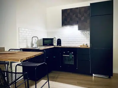 Cuisine ou kitchenette dans l'établissement Centre Vienne Appartement 2 chambres,2 salles de bain proche Lyon