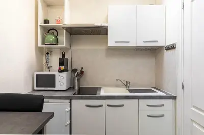 Cuisine ou kitchenette dans l'établissement BnGo I Le Douillet I Parc Tete d'Or, 2 personnes, Hypercentre Lyon