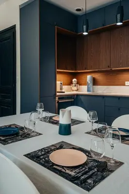 Cuisine ou kitchenette dans l'établissement Superbe appartement lyonnais, vue sur Saône