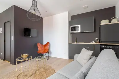 Cuisine ou kitchenette dans l'établissement Très beau studio - Lyon 3