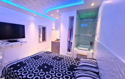 Télévision ou salle de divertissement dans l'établissement Bron centre appartement meublé avec jacuzzi