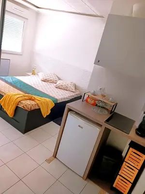 Un ou plusieurs lits dans un hébergement de l'établissement Bron centre appartement meublé avec jacuzzi