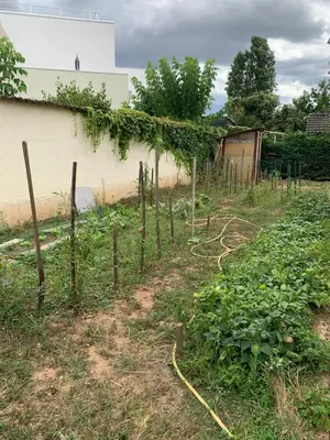 Jardin de l'établissement T2 indépendant proche OL Stadium et salle LDLC Arena