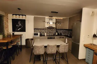 Cuisine ou kitchenette dans l'établissement Appartement Voie Lactée Lyon