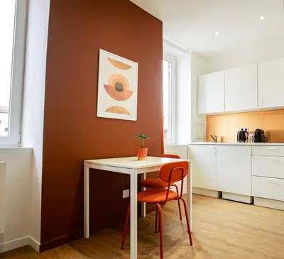 Cuisine ou kitchenette dans l'établissement Le Terracotta - Joli studio Metro D Valmy et quais de Saone - wifi inclus