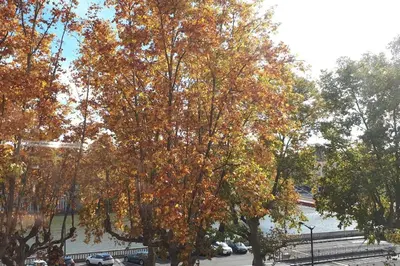 Paysage naturel près de l'appartement
