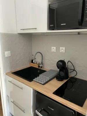 Cuisine ou kitchenette dans l'établissement Studio Le Central 350 m de Gare Lyon Part-Dieu, Navette Stade et Arena ,Eurexpo Aéroport- Bus Direct Centre Ville