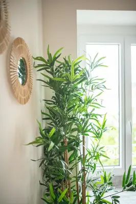 Plan de l'établissement KASA SURF - Wifi TV & Cosy