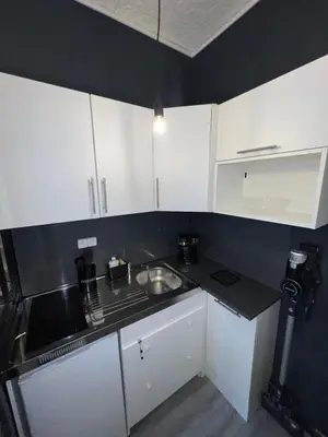 Cuisine ou kitchenette dans l'établissement Appartement centre de lyon