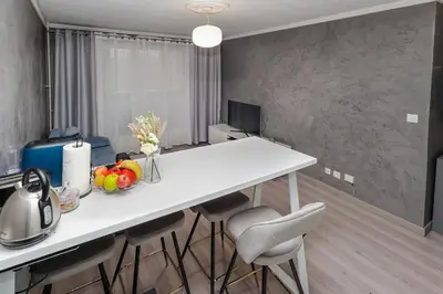 Télévision ou salle de divertissement dans l'établissement Appartement moderne, proche du Parc de la tête d'Or et de Lyon