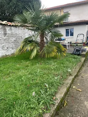 Jardin de l'établissement chambre simple proche aéroport