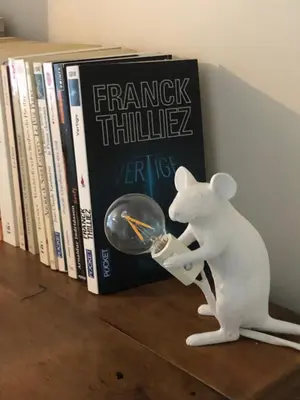 Bibliothèque dans l'appartement