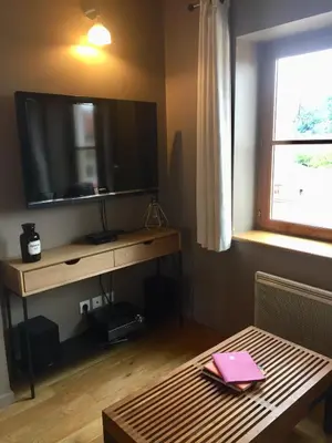 Télévision ou salle de divertissement dans l'établissement Les Toits de Lyon au coeur du centre-ville tout à pied