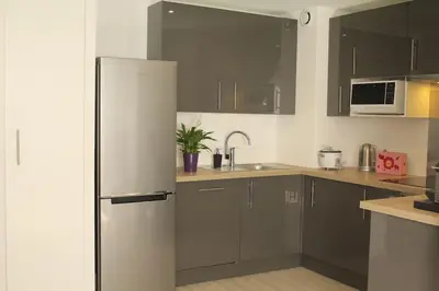 Cuisine ou kitchenette dans l'établissement Duplex cosy avec terrasse/Part-Dieu