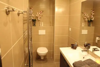Salle de bains dans l'établissement Duplex cosy avec terrasse/Part-Dieu