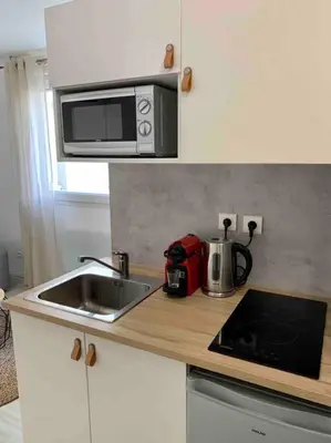 Cuisine ou kitchenette dans l'établissement Studio Le Pensier - Monplaisir
