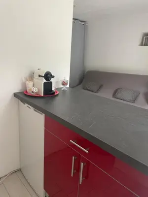 Cuisine ou kitchenette dans l'établissement Petit studio aux portes du beaujolais