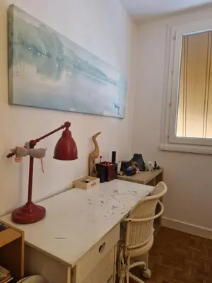 Plan de l'établissement T4/5 avec vue sur les Alpes à 5 minutes de Lyon