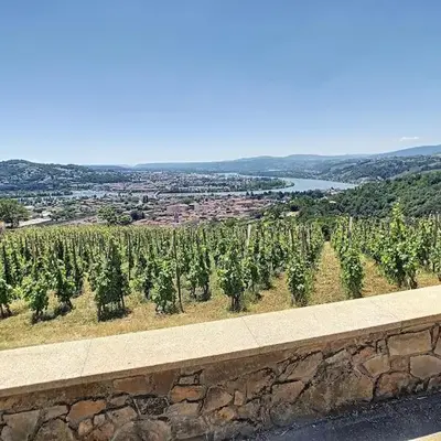 Condrieu