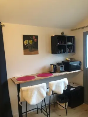 Cuisine ou kitchenette dans l'établissement Chambre indépendante Charbonnières Les Bains