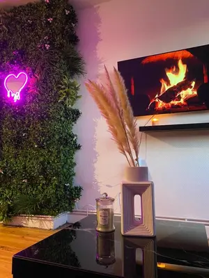 Télévision ou salle de divertissement dans l'établissement Appartement cosy LYON