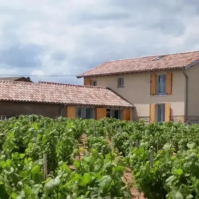 Maison entière au cœur des vignes des Trois Bacchantes !