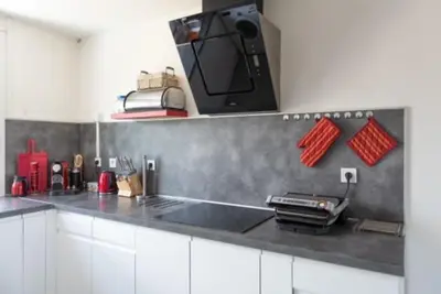 Cuisine ou kitchenette dans l'établissement Appartement Fuychaa Proche de Lyon , Eurexpo , stadium , Aréna