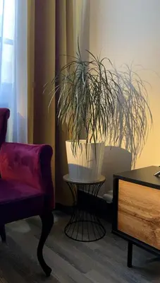 Coin salon dans l'établissement Chic & Elégance Lyon Centre