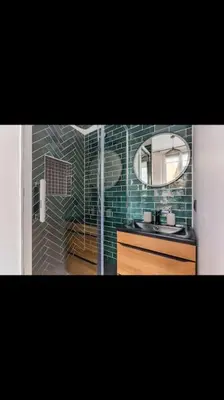 Salle de bains dans l'établissement Appartement totalement rénové 4 couchage proche Lyon
