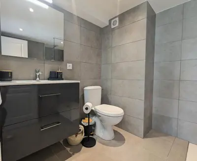 Salle de bains dans l'établissement Cosy 152 proche aéroport -gare-groupama stadium-lyon