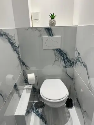 Salle de bains dans l'établissement Superbe 3 chambres proche lyon et eurexpo parking