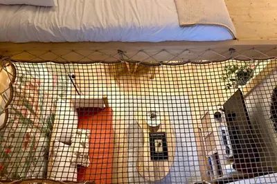 Plan de l'établissement The Jungle - Superbe appartement au coeur de Lyon !