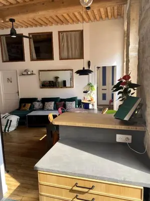 Cuisine ou kitchenette dans l'établissement Beau T3 Canut lumineux de 75m2