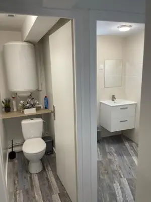 Salle de bains dans l'établissement Appartement Agility proche LDLC Arena Stade Groupama Lyon Eurexpo