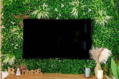 Télévision ou salle de divertissement dans l'établissement Le MAYA à Beauvallon pour 4 voyageurs