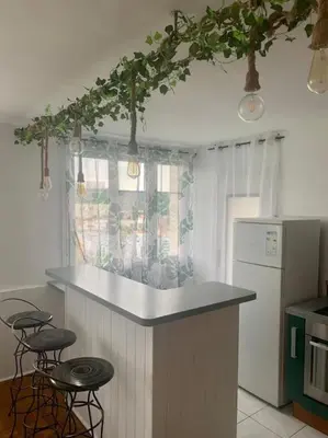 Cuisine ou kitchenette dans l'établissement HOMEYPIC LYON T3 vue sur la Saône
