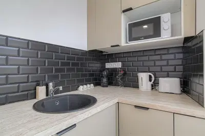 Cuisine ou kitchenette dans l'établissement Selva, appartement cozy, Lyon 8ème