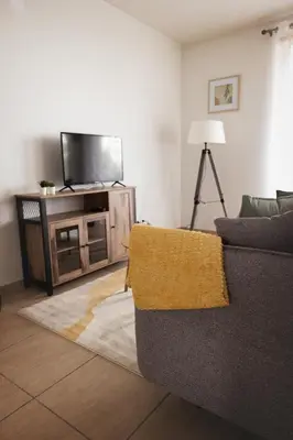 Télévision ou salle de divertissement dans l'établissement Visitez Lyon Bel Appartement spacieux le Joliot Curie 4-6 pers à Lyon - Eurexpo - LDLC ARENA