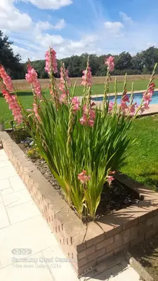 Jardin de l'établissement Petit coin de paradis