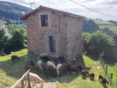 Animaux dans la maison de vacances ou à proximité