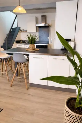 Cuisine ou kitchenette dans l'établissement Duplex 2 chambres Meximieux centre ville