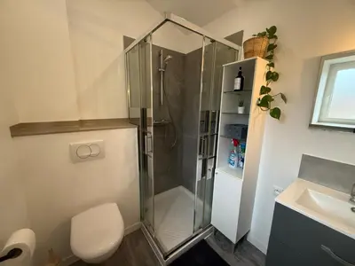 Salle de bains dans l'établissement Duplex 2 chambres Meximieux centre ville