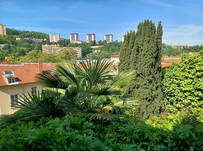 Paysage naturel près de l'appartement