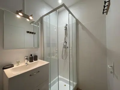 Salle de bains dans l'établissement Charmant appartement, coeur Presqu'île, Lyon 1er