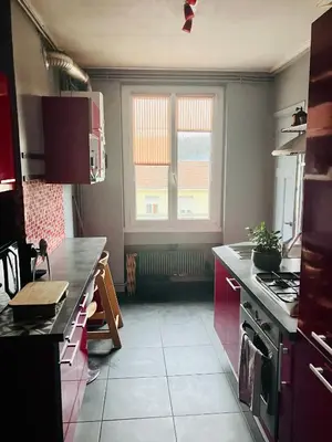 Cuisine ou kitchenette dans l'établissement Grand Appartement Cosy au cœur de Lyon 9