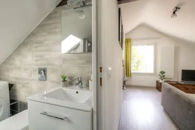Salle de bains dans l'établissement Loft charmant dans maison de ville, Villeurbanne