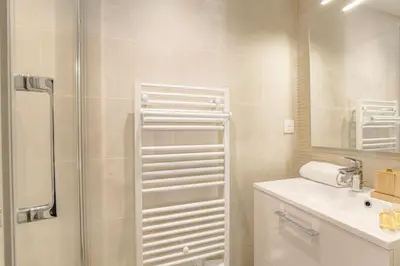 Salle de bains dans l'établissement Appartement T3 neuf, climatisé proche Lyon 3