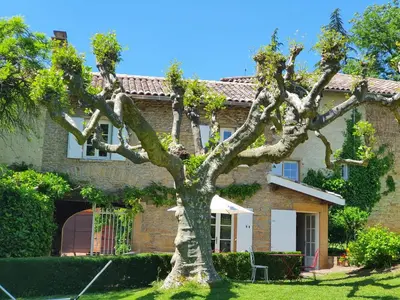 Jardin de l'établissement DOMAINE DES FRANCHISES - Beaujolais Village - Charme et authenticité au cœur des Pierres dorées